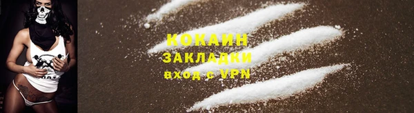 прущая мука Нея