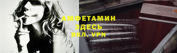 прущие грибы Нефтекумск