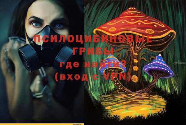 молекула духа Нефтегорск