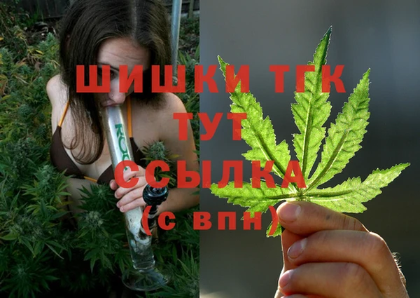 прущие грибы Нефтекумск