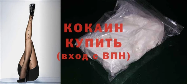 прущие грибы Нефтекумск