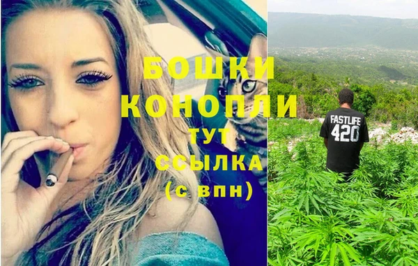 прущая мука Нея