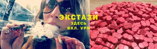 прущие грибы Нефтекумск