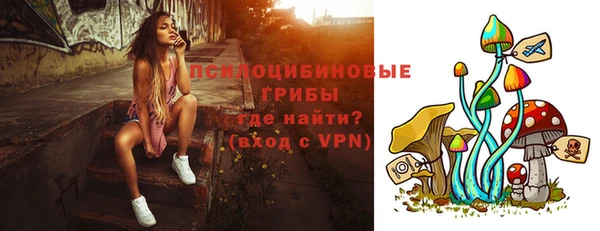 молекула духа Нефтегорск