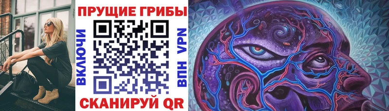 Псилоцибиновые грибы MAGIC MUSHROOMS  Купить закладки  Алупка 